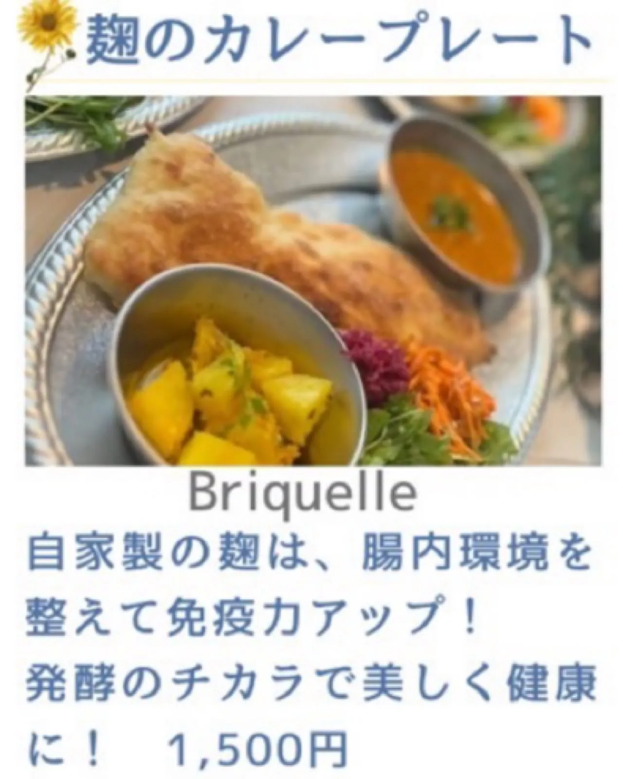 【出店者様のご紹介】