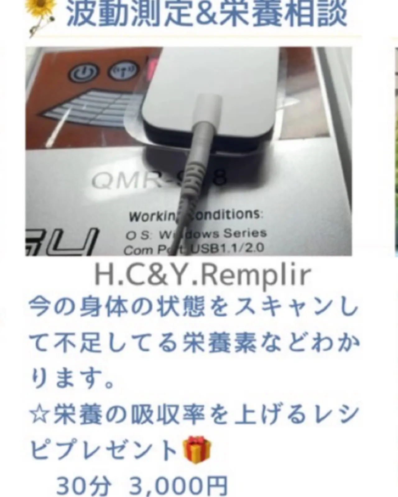 【出店者様のご紹介】