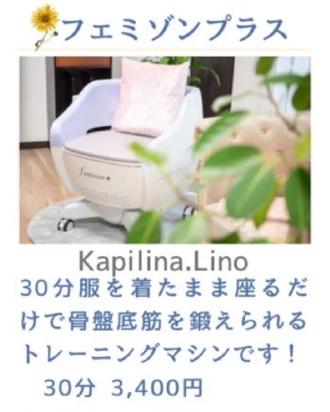 【出店者様のご紹介】