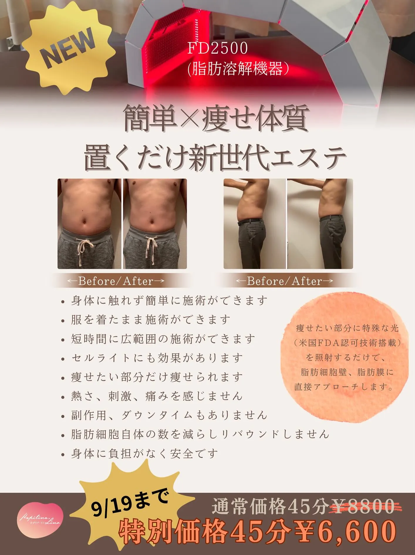 【期間限定！新メニュー】