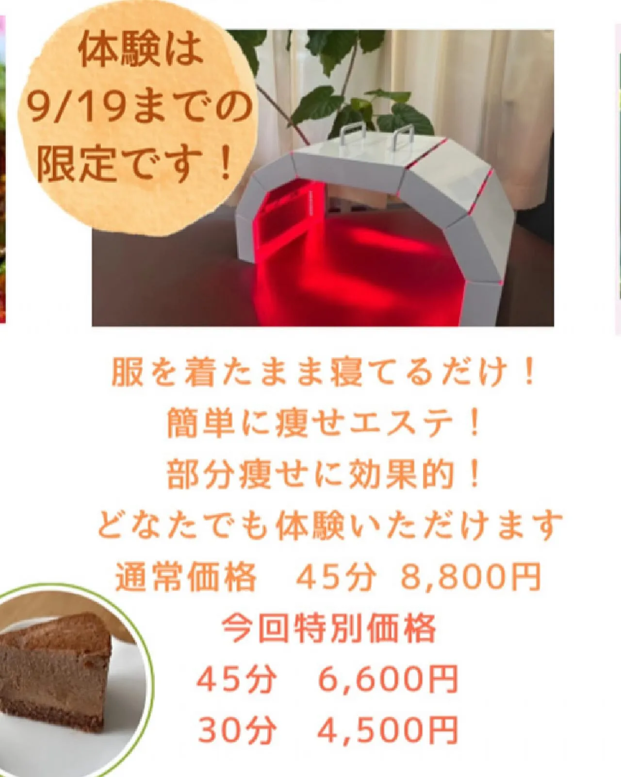 【出店者様のご紹介】